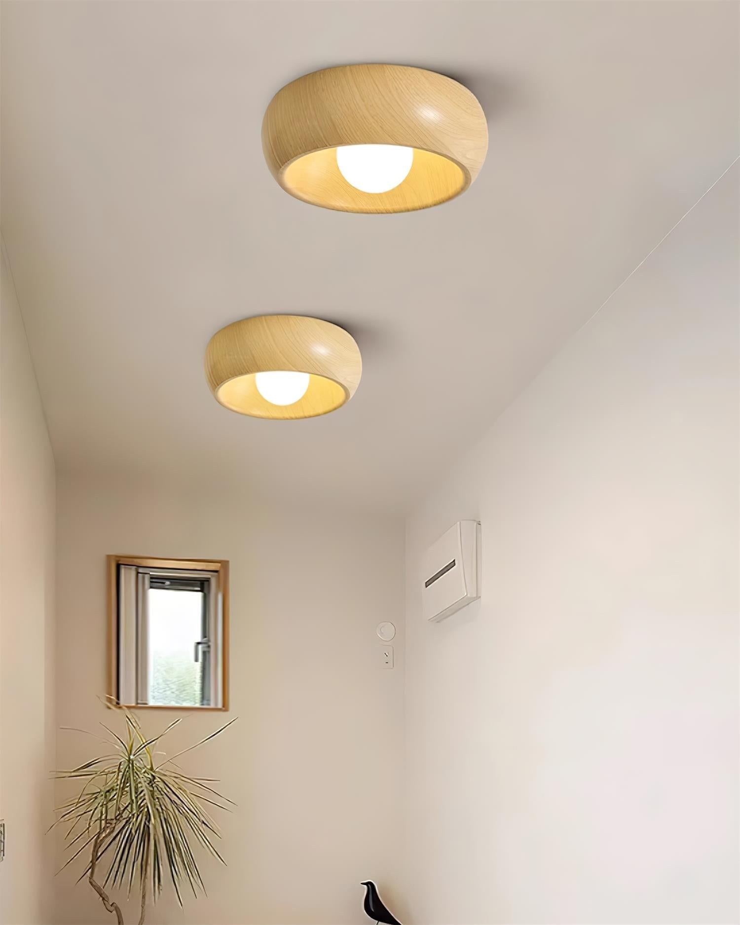 Zuwa Ceiling Light